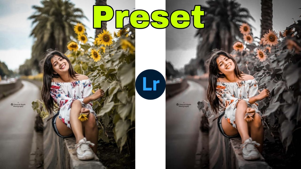 lr new moody blue tone preset download 2023