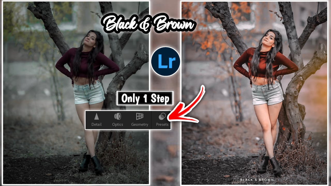 lr black and moody brown tone preset 2023 download free