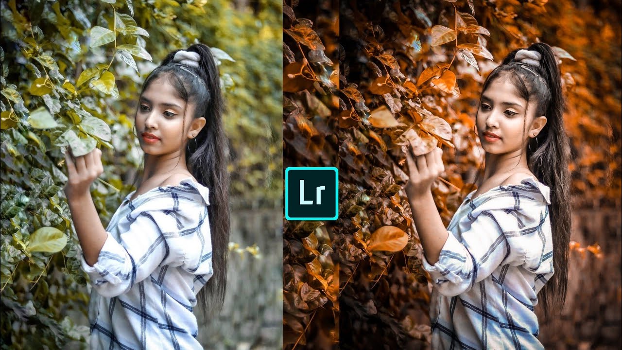 Moody golden tone Lightroom photo editing preset download free