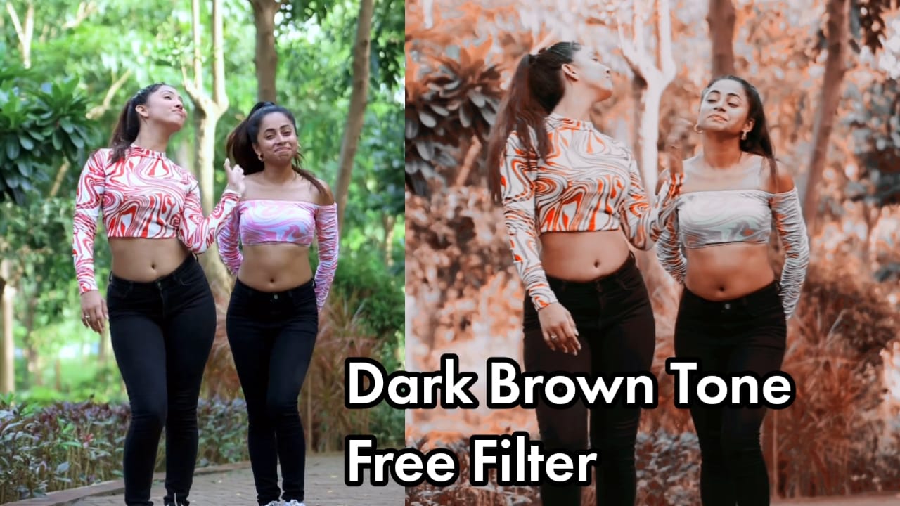 dark brown colour vn video editing free luts and filters download