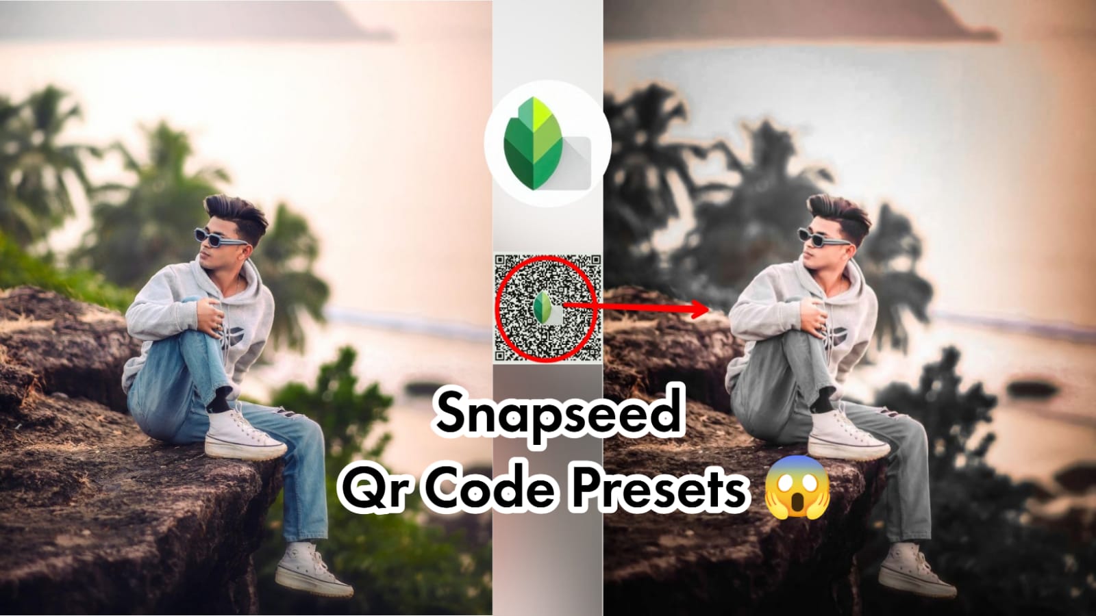 snapseed dark black tone qr code preset free download