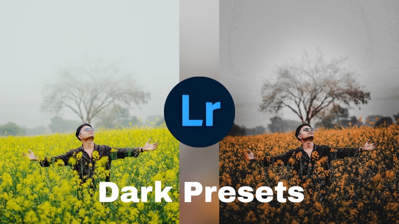 lightroom dark yellow & Golden tone presets free download 2024