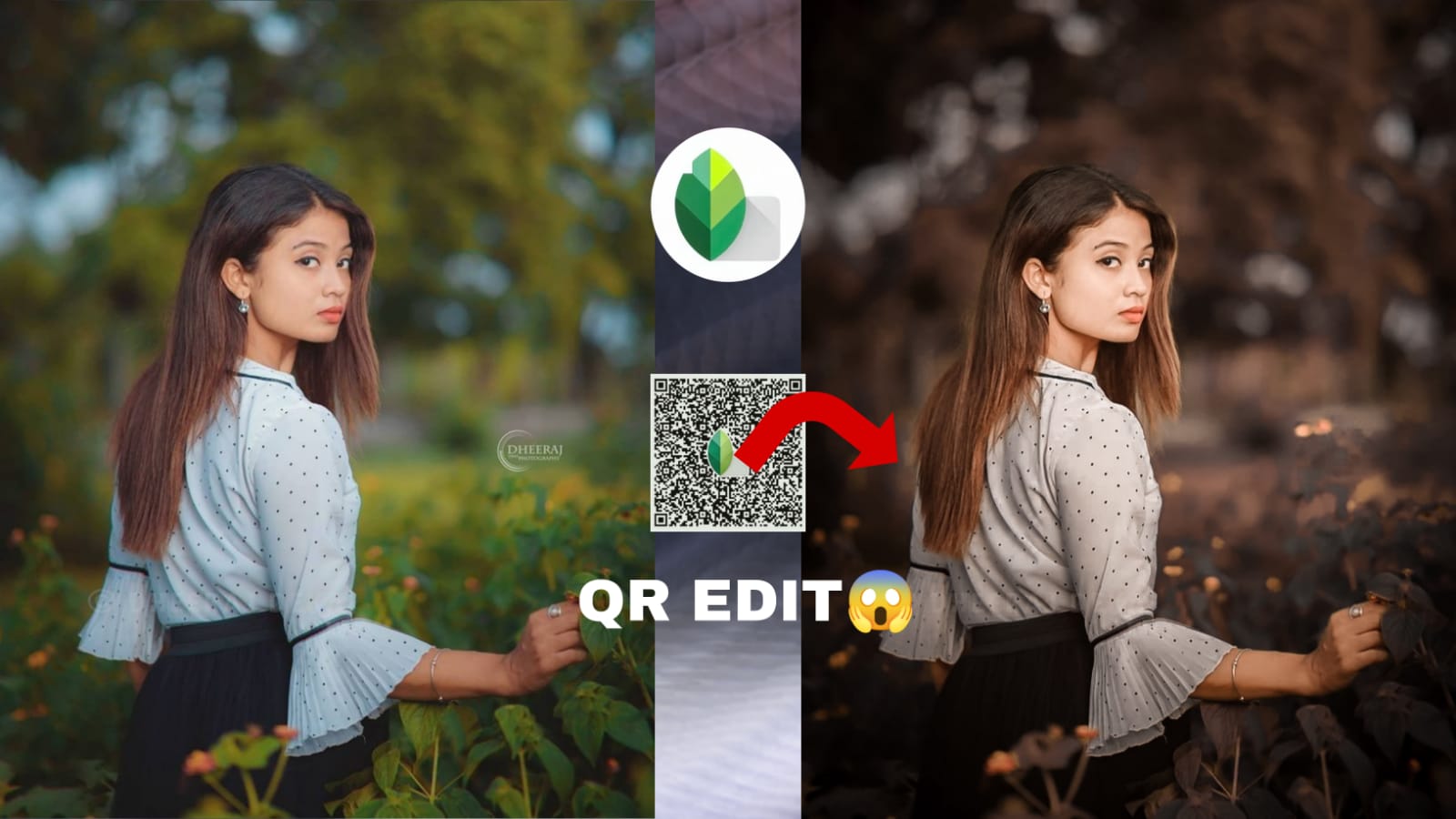 snapseed new color qr code preset download 2024 brown