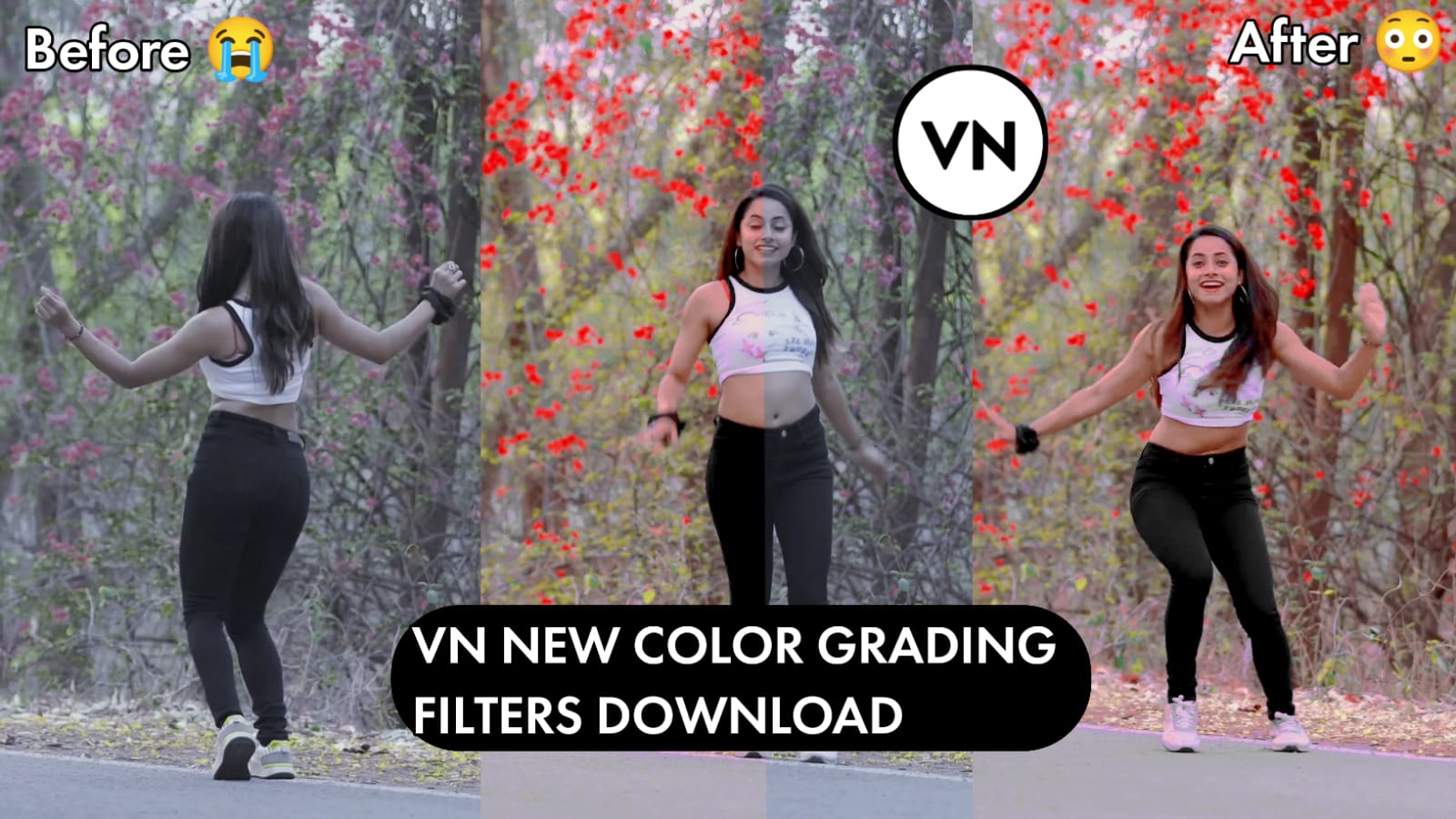 vn video editor app color grading 2024 free filters download