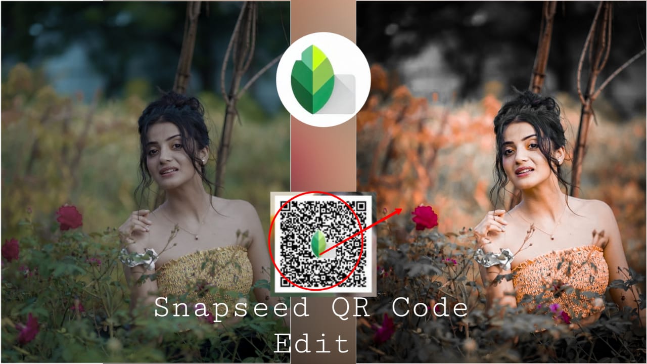 snapseed amazing brown and orange tone effect qr code preset download